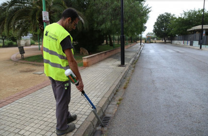 Ontinyent intensifica les tasques de control i prevenció de plagues de cara a l’estiu