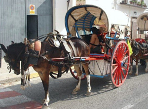 La XX Volta en Carro pararà aquest divendres a Ontinyent