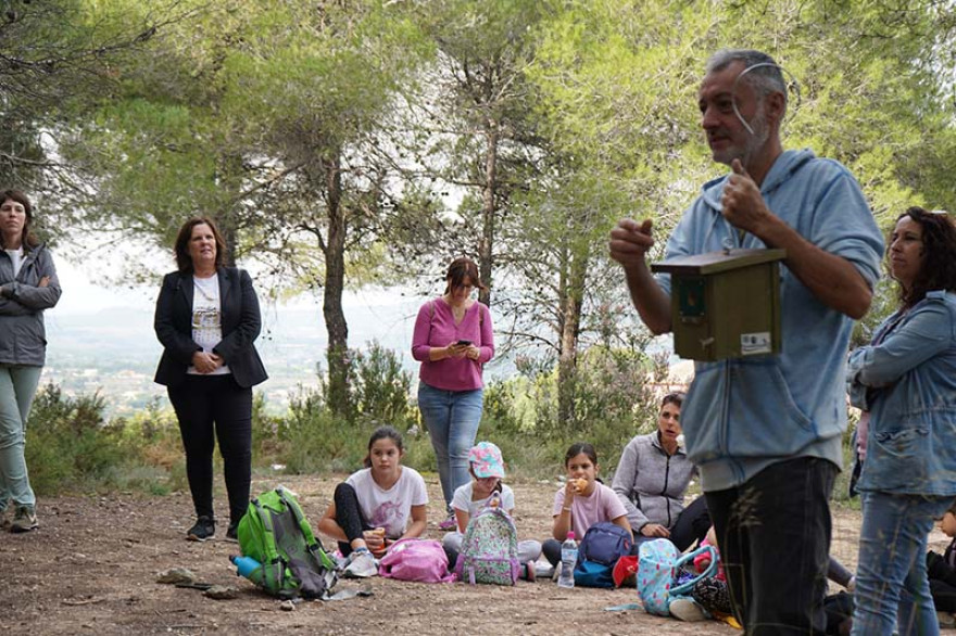 Ontinyent organitza una activitat d’educació ambiental amb la col·locació de &quot;caixes niu” per escolars